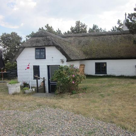 Apartment Holmsland Hvide Sande Zewnętrze zdjęcie